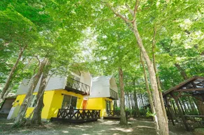 Mimoza Retreat NASU - Image 3