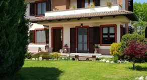 I 99 ulivi - Image 2