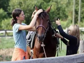 Ranch Jelov Klanac - Image 3