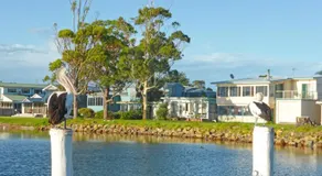Riverside Delight - Image 5