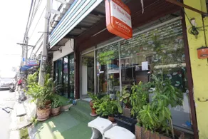 D House Hostel - Image 5