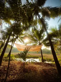 India Yoga Village - Image 2