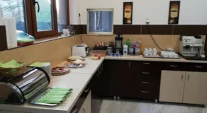 Vila Dorobantilor - Image 3