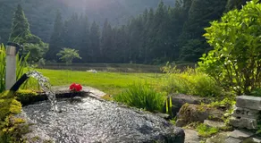 Minshuku Nakanoya - Image 5