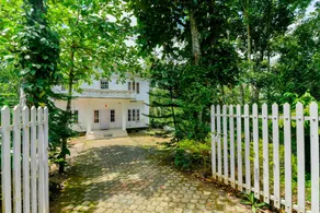 Home 22578 Forest View 2BHK - Image 4