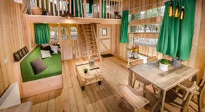 Recreatiepark d'n Mastendol luxe Boomhutten - Image 3