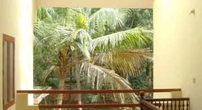 Ivory Coaste - Image 2