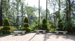 Ibbanicadu Estate Homestay - Image 4
