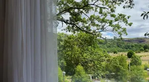 Ninho da Avó Selvagem - Image 2