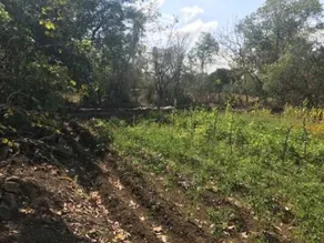 Snehban Agro Farm Resort - Image 5
