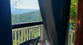 Rainforest Nature House - Image 2