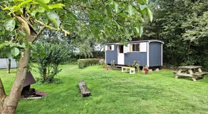 Pipowagen op natuurcamping - Image 5
