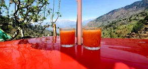 Organic Stays Manali - Image 5