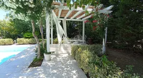 Tenuta viale degli ulivi - Image 3