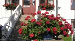 Monicas Rumsuthyrning - Image 4