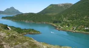 Skjellbogen Hyttegrend - Image 4