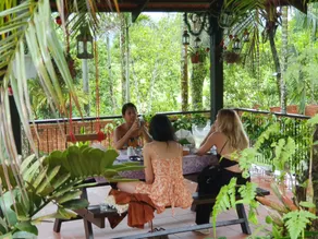 The Cottage in the rainforest at Mori House - Image 3