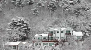 Starvill Pension - Image 3
