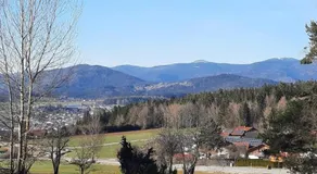 Ferienhaus Walter im Waldferiendorf - Image 5