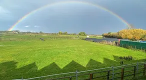 Appaloosa suite with amazing views of stud farm. - Image 5