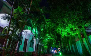 Jungle Palace Resort - Image 5