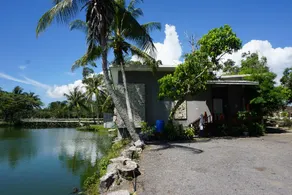 LEAF HOMESTAY - Image 5