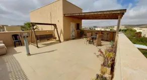 צמח בר - Image 5