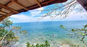 Jungle Hill Beach Bungalow - Image 4