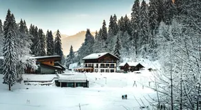 Hotel Du Lac - Image 5