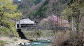 Ichinokurasou - Image 3