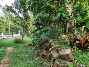 Schatzi's Hideaway - Image 2