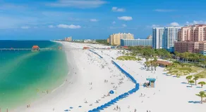 Green Castle Apartment in Tampa 10 min from Airport and the Beach - Image 3