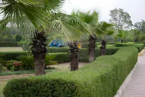 Sultanpur Resorts - Image 3