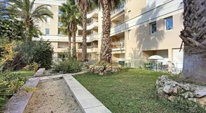 Nicolas 2 - Image 3