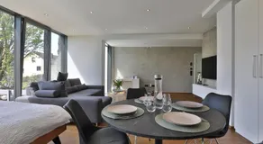 Moderne DHH mit zwei Apartments - Image 2