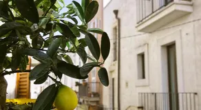 Dimora Nonna Rosa - Image 3
