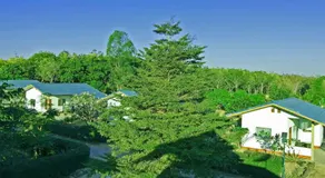 EiDI Homestay - Image 2