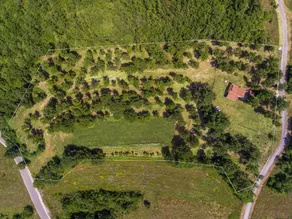House Ivor - Image 4