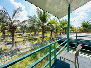 Coco and Canal HomeStory - Image 3