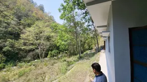 The Jungle Hook - Image 3