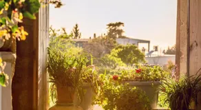 Revaklı Ev Guest House - Image 4