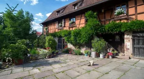 La Ferme de Marie - Image 3
