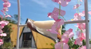 Mia's Homestay - Image 2
