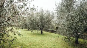 Apartma Nika - Image 5