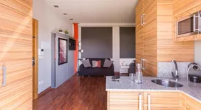 Sky Touristic Attic - Image 2