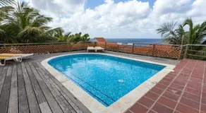 Green Sea Turtle Modern Stay by the Sea - Image 3