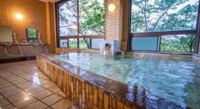 Ryokan Toyotomi - Image 5