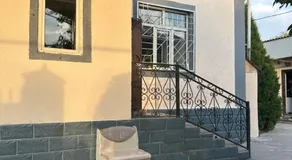 Mama Gulya - Image 3