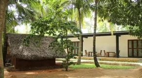 Ariya Tissa - Image 4