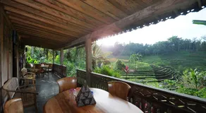 Bali Lush - Image 3